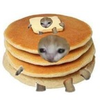 Download yoitsal OnlyFans videos and photos for free 

 profile picture