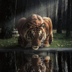 Free access to (@zeekuchiha) Leaked OnlyFans 

 profile picture