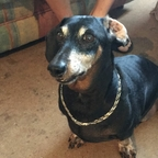 zerdboy2 (It.is.what.it.is) OnlyFans Leaked Pictures and Videos 

 profile picture